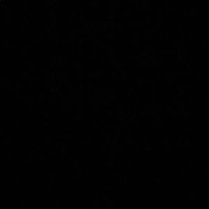 Meet your Posher, Giovanna